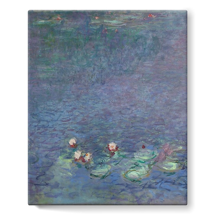The Water Lilies: Morning (stretched canvas)
