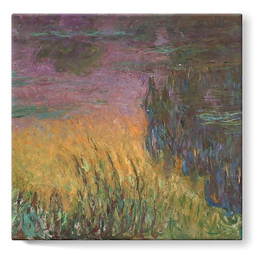 The Water Lilies: Setting Sun (stretched canvas)