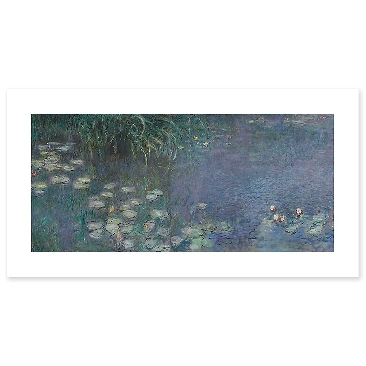 The Water Lilies: Morning (art prints)