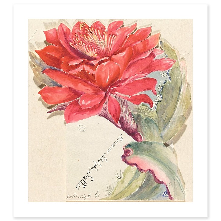 Menu d'Adolphe Salles (art prints)