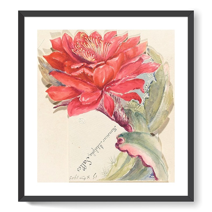 Menu d'Adolphe Salles (framed art prints)