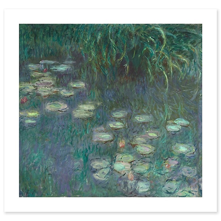 The Water Lilies: Morning (art prints)