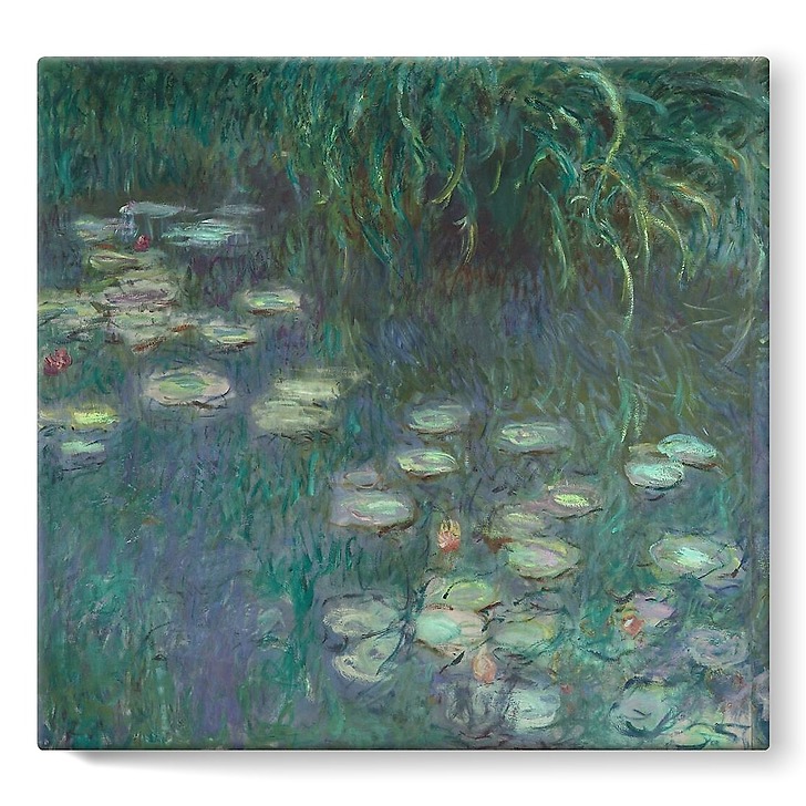The Water Lilies: Morning (stretched canvas)