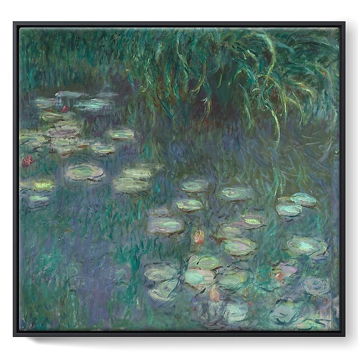 Les Nymphéas : Matin (toiles encadrées)