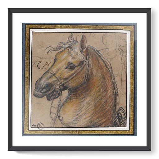 Horse head (framed art prints)