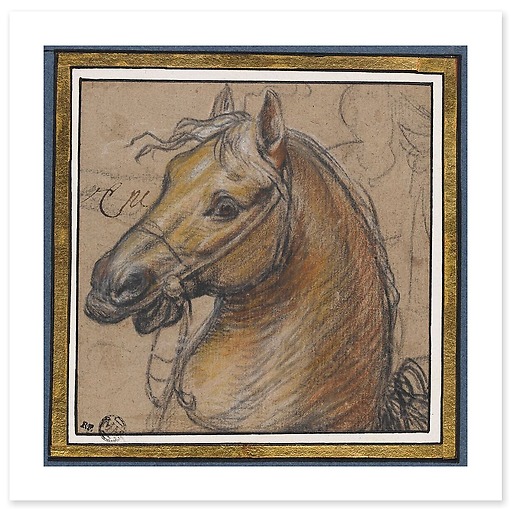 Horse head (canvas without frame)