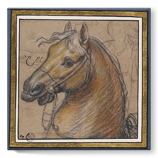 Horse head (stretched canvas)
