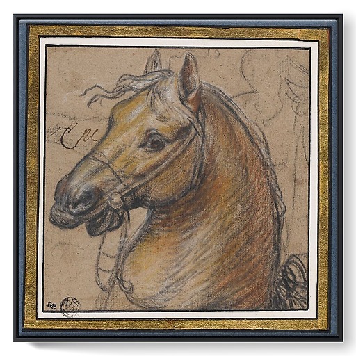 Horse head (framed canvas)