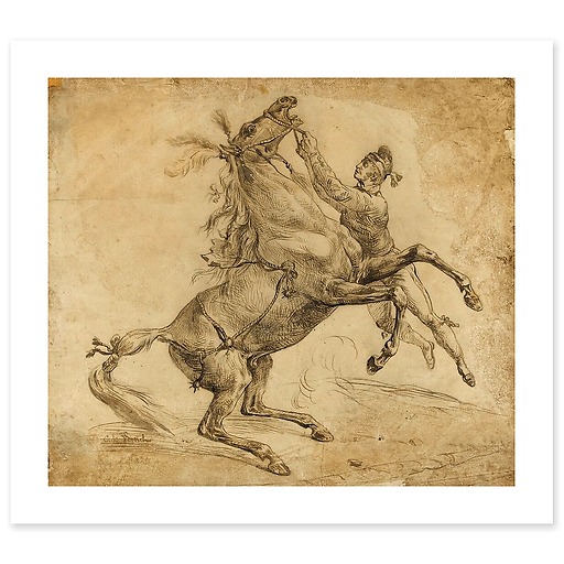 Horse held at the bridle, bending up (art prints)