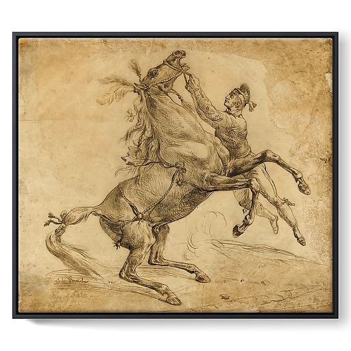 Horse held at the bridle, bending up (framed canvas)