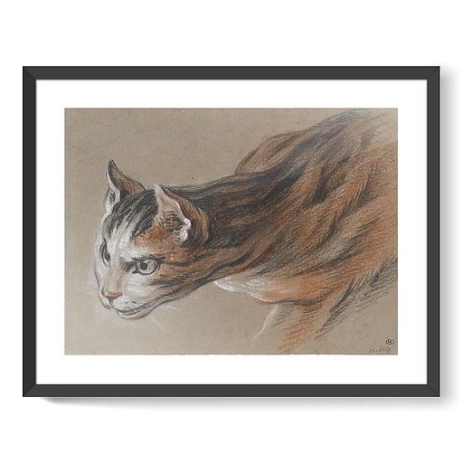 Cat projecting his head forward (framed art prints)