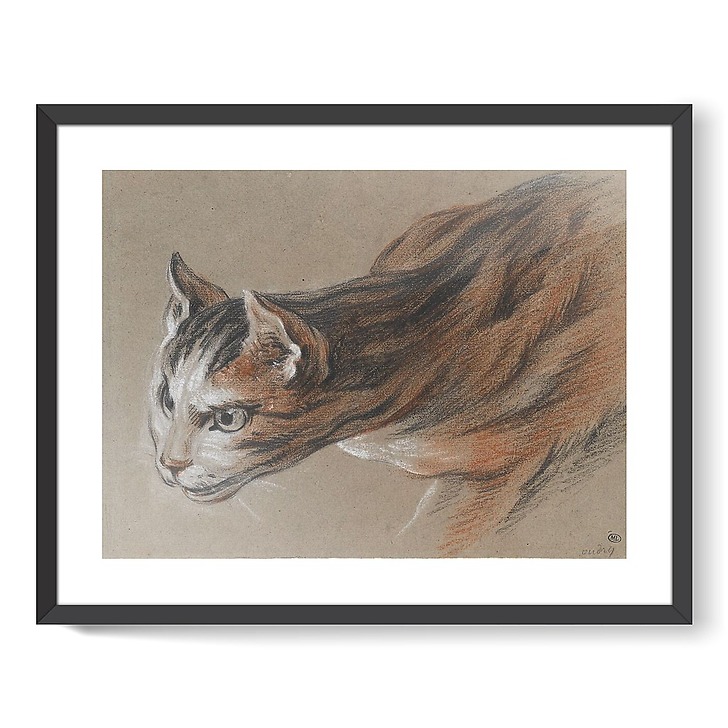 Chat projetant sa tête en avant (affiches d'art encadrées)