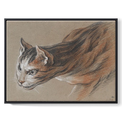 Cat projecting his head forward (framed canvas)