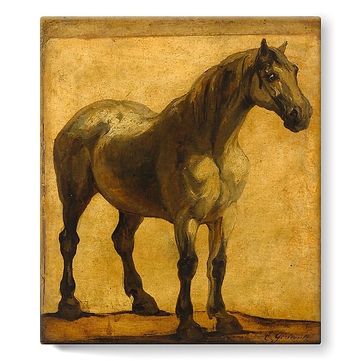 Study of horse (stretched canvas)