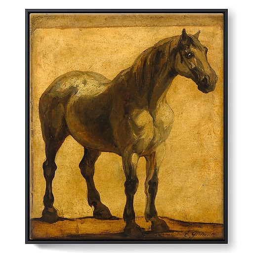 Study of horse (framed canvas)
