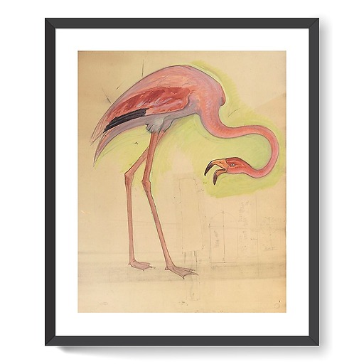 Escompte Counter, great Staircase, pink Flamingo (framed art prints)