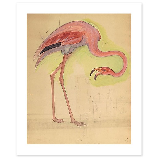 Escompte Counter, great Staircase, pink Flamingo (canvas without frame)