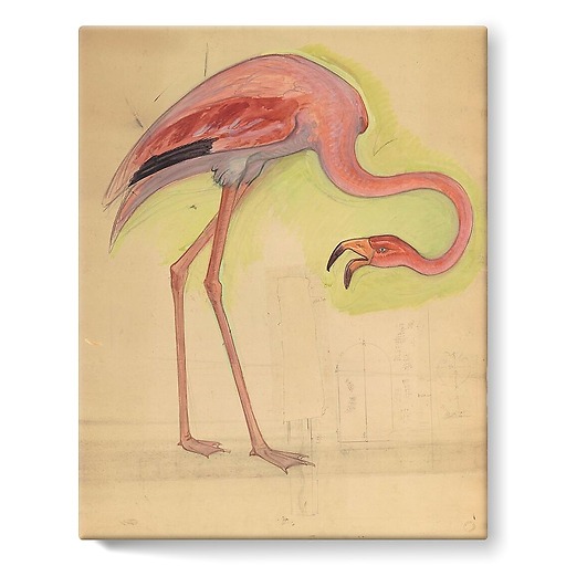 Escompte Counter, great Staircase, pink Flamingo (stretched canvas)