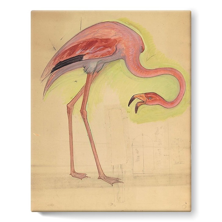 Escompte Counter, great Staircase, pink Flamingo (stretched canvas)
