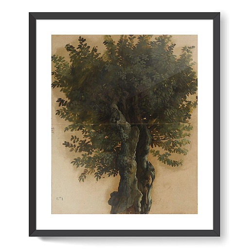 Trees with an open trunk (framed art prints)