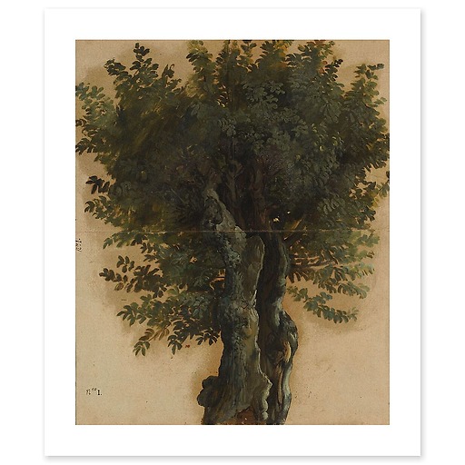 Trees with an open trunk (canvas without frame)