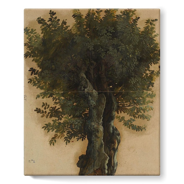Arbres avec un tronc ouvert (toiles sur châssis)