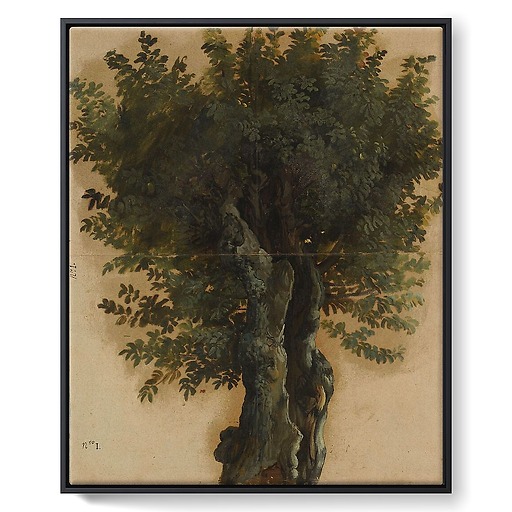 Trees with an open trunk (framed canvas)