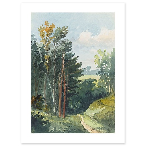 Landscape with downhill path, Bois Guillaume (near Rouen) (art prints)