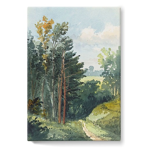 Landscape with downhill path, Bois Guillaume (near Rouen) (stretched canvas)