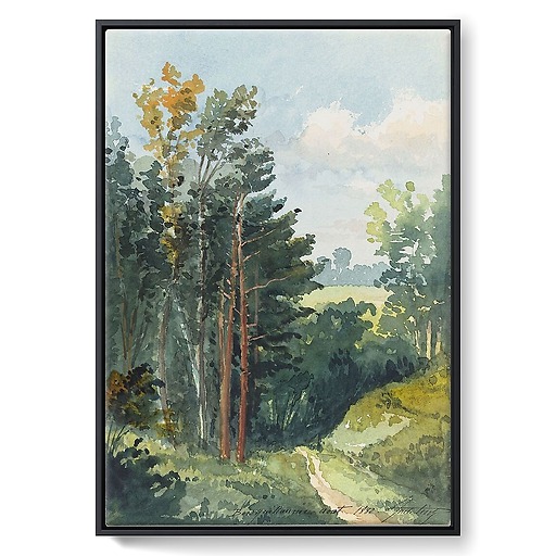 Landscape with downhill path, Bois Guillaume (near Rouen) (framed canvas)