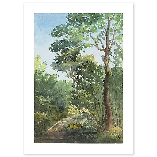 Bois de l'Etoile in Bois Guillaume (near Rouen) (art prints)