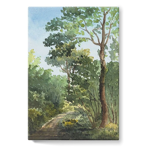 Bois de l'Etoile in Bois Guillaume (near Rouen) (stretched canvas)