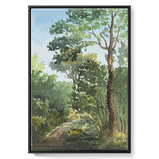 Bois de l'Etoile in Bois Guillaume (near Rouen) (framed canvas)