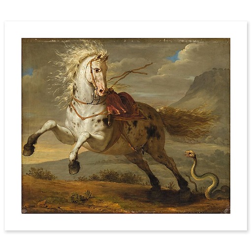 Horse frightened by a snake (art prints)