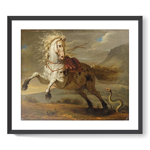 Horse frightened by a snake (framed art prints)