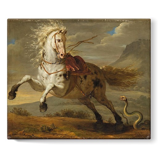 Horse frightened by a snake (stretched canvas)