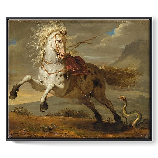 Horse frightened by a snake (framed canvas)