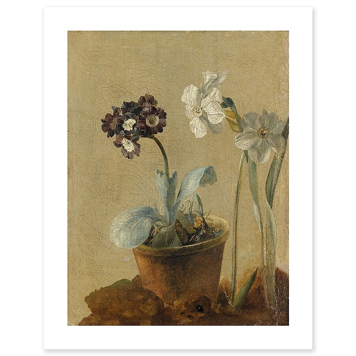 Nature morte de narcisses et d'oreilles-d'ours (affiches d'art)