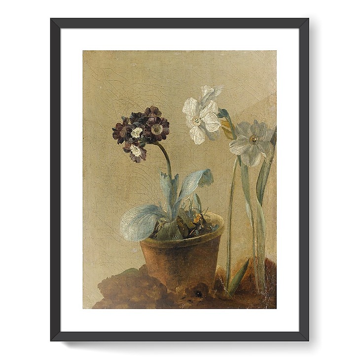Nature morte de narcisses et d'oreilles-d'ours (affiches d'art encadrées)