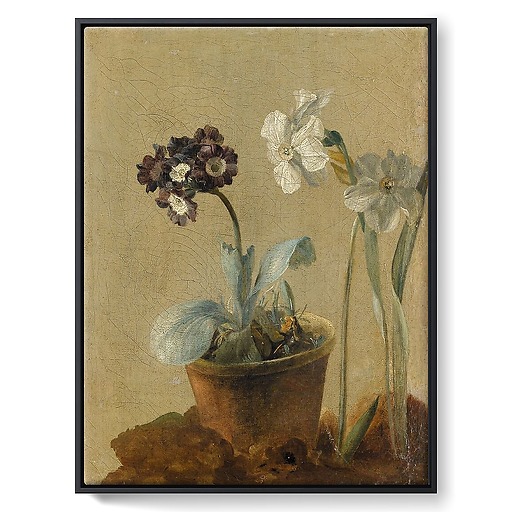 Still life of narcissus and stachys byzantina (framed canvas)
