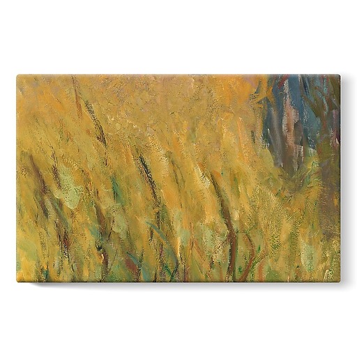 The Water Lilies: Setting Sun (stretched canvas)
