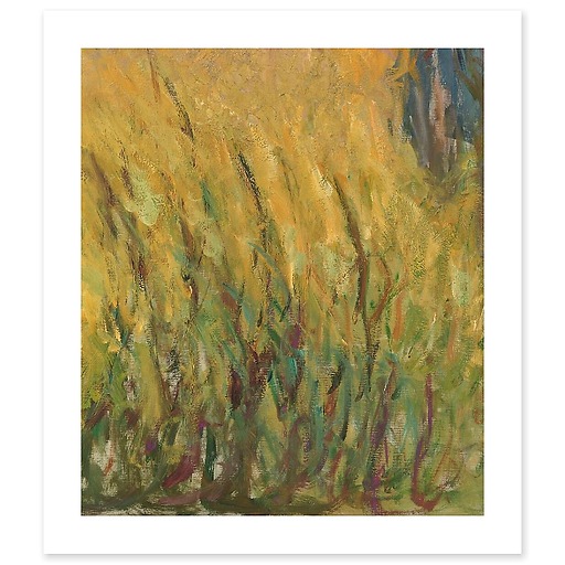 The Water Lilies: Setting Sun (art prints)