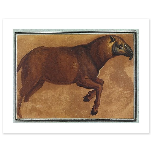 Tapir (art prints)