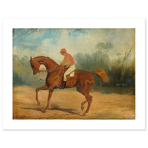 Cheval de course et son jockey (affiches d'art)