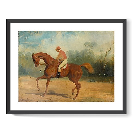 Cheval de course et son jockey (affiches d'art encadrées)