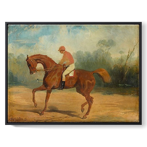 Racehorse and his jockey (framed canvas)