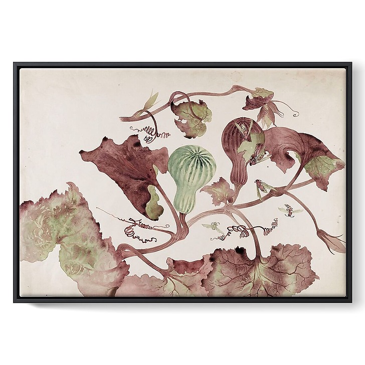 Courge et guêpes (toiles encadrées)