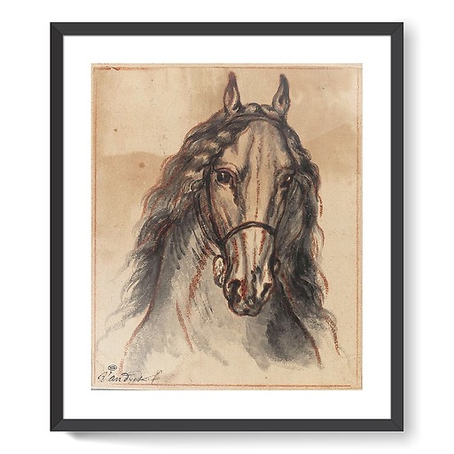 Horse head, front view (framed art prints)