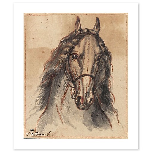 Horse head, front view (canvas without frame)