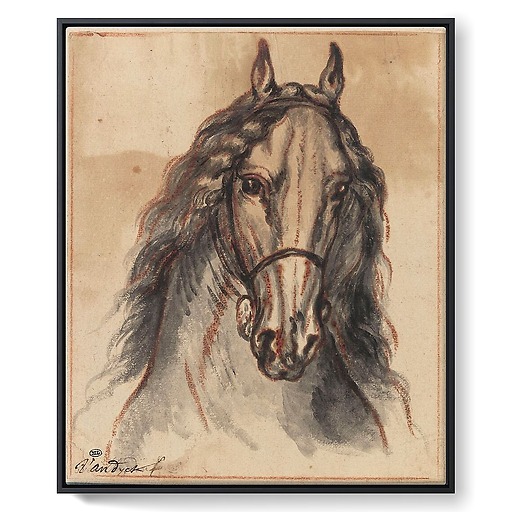 Horse head, front view (framed canvas)